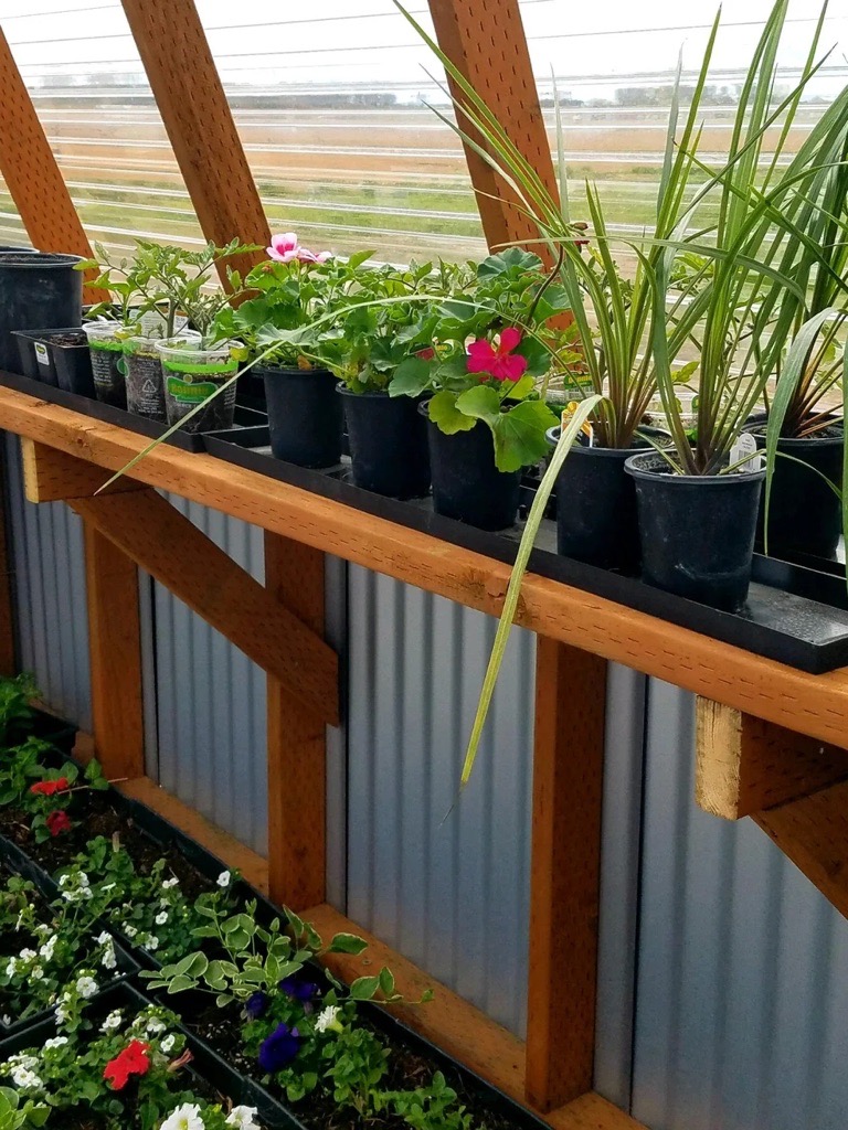 Custom Greenhouse